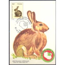 POLM2829-MÁXIMO POSTAL COELHO - POLÔNIA - 1986