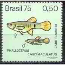 SB0889M-SELO PEIXES BRASILEIROS DE ÁGUA DOCE, BARRIGUDINHO - 1975 - MINT