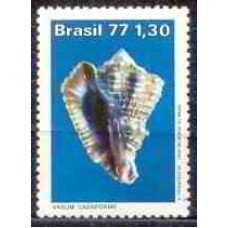 SB0992M-SELO MOLUSCOS DO BRASIL, VASUM - 1977 - MINT