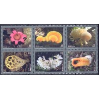 SB3821MS-SEXTILHA MERCOSUL - DIVERSIDADE DE FUNGOS - 2019 - MINT
