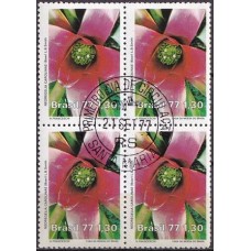 QC1006.22-QUADRA DEFESA DO MEIO AMBIENTE - PROTEÇÃO À FLORA - 1977 - CPD SANTA MARIA