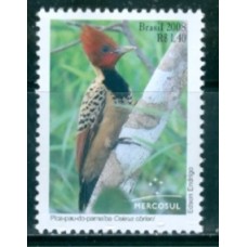 SB2767M-SELO MERCOSUL - AVES AUTÓCTONES, PICA-PAU - 2008 - MINT