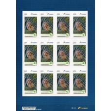 SI0118MF-FOLHA 12 SELOS INSTITUCIONAIS HOMENAGEM AO INSTITUTO TERRA, CORUJA - 2025 - MINT