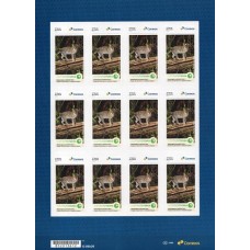 SI0119MF-FOLHA 12 SELOS INSTITUCIONAIS HOMENAGEM AO INSTITUTO TERRA, JAGUATIRICA - 2025 - MINT