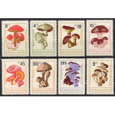 BUL1099M-SÉRIE COGUMELOS - BULGÁRIA - 1961 - MINT