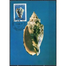 MA0050.02-MÁXIMO MOLUSCOS DO BRASIL, VASUM - 1977 - CPD SÃO PAULO