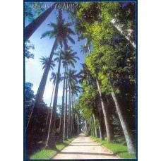 BP0225-BILHETE POSTAL JARDIM BOTÂNICO - RIO DE JANEIRO - 2002