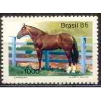 SB1444M-SELO CAVALOS DE RAÇAS BRASILEIRAS, CAMPOLINA - 1985 - MINT