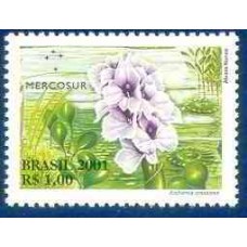 SB2439M-SELO MERCOSUL - FLORA DO MERCOSUL - AGUAPÉ - 2001 - MINT