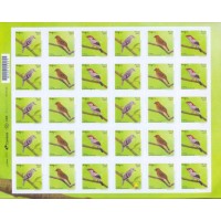 SB3694MF-FOLHA 30 SELOS AVES BRASILEIRAS - AUTOADESIVO - 2017 - MINT SB3694MF-FOLHA 30 SELOS AVES BRASILEIRAS - AUTOADESIVO - 2017 - MINT