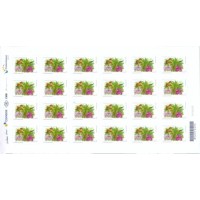 SB3707MF-FOLHA 24 SELOS FLORES DA MATA ATLÂNTICA - AUTOADESIVO - 2017 - MINT SB3707MF-FOLHA 24 SELOS FLORES DA MATA ATLÂNTICA - AUTOADESIVO - 2017 - MINT