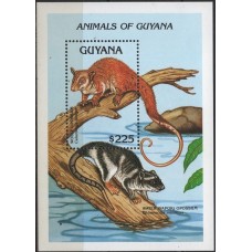 GUYB0104M-BLOCO ANIMAIS DA GUIANA - GUIANA - 1992 - MINT
