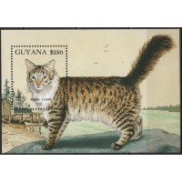 GUYB0107M-BLOCO GATOS, MAINE COON - GUIANA - 1992 - MINT GUYB0107M-BLOCO GATOS, MAINE COON - GUIANA - 1992 - MINT