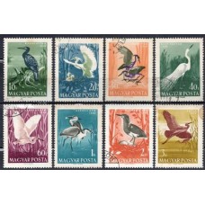 HUN1287U-SÉRIE AVES - HUNGRIA - 1959 - U