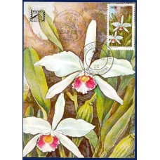 MA0068.01-MÁXIMO BRAPEX V, ORQUÍDEA 75,00 - 1982 - CPD SANTA CATARINA E CBC BLUMENAU