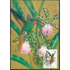 MA0154.01-MÁXIMO BRAPEX 91 - BEIJA-FLORES E ORQUÍDEAS, BEIJA-FLOR-RUBI - 1991 - CBC VITÓRIA