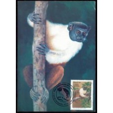 MA0186.02-MÁXIMO PRESERVAÇÃO DA FAUNA - MACACOS, SAUIM DE COLEIRA - 1994 - CBC MANAUS