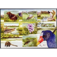 MA0236B.02-MÁXIMO PANTANAL, GARÇA MOURA - 2001 - CBC CAMPO GRANDE