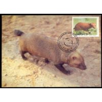 MN1593.01-MÁXIMO MAMÍFEROS EM EXTINÇÃO, CACHORRO DO MATO VINAGRE - 1988 - CBC BRASÍLIA MN1593.01-MÁXIMO MAMÍFEROS EM EXTINÇÃO, CACHORRO DO MATO VINAGRE - 1988 - CBC BRASÍLIA