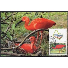 MN2563.01-MÁXIMO GUARÁ - 2004 - DATADOR AGÊNCIA FILATÉLICA RIBEIRÃO PRETO