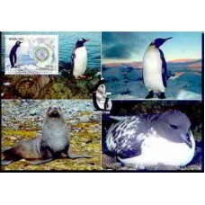 MN2680.01-MÁXIMO ANO POLAR INTERNACIONAL, PINGUIM - 2007 - CBC ESTAÇÃO ANTÁRTICA