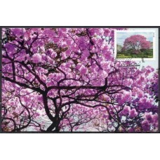 MN3006.02-MÁXIMO DESPERSONALIZADO PANTANAL, IPÊ ROXO - 2010 - CBC EXPOSIÇÃO FILATÉLICA PANTANAL 2010 - CUIABÁ