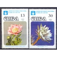 CUBA0282N-SÉRIE AÉREA FLORES DE CACTOS DO JARDIM BOTÂNICO - CUBA - 1978 - N CUBA0282N-SÉRIE AÉREA FLORES DE CACTOS DO JARDIM BOTÂNICO - CUBA - 1978 - N