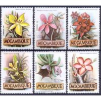 MOC0851N-SÉRIE FLORES DE MOÇAMBIQUE - MOÇAMBIQUE - 1981 - N MOC0851N-SÉRIE FLORES DE MOÇAMBIQUE - MOÇAMBIQUE - 1981 - N