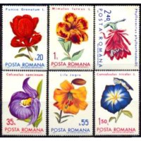 ROM2614N-SÉRIE FLORES - ROMÊNIA - 1971 - N ROM2614N-SÉRIE FLORES - ROMÊNIA - 1971 - N