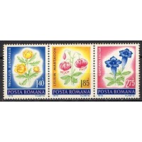 ROM2738NS-SE-TENANT PROTEÇÃO DA NATUREZA - FLORES - ROMÊNIA - 1973 - N ROM2738NS-SE-TENANT PROTEÇÃO DA NATUREZA - FLORES - ROMÊNIA - 1973 - N