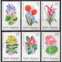 ROM3277M-SÉRIE FLORES EXÓTICAS DO JARDIM BOTÂNICO DE BUCARESTE - ROMÊNIA - 1980 - MINT ROM3277M-SÉRIE FLORES EXÓTICAS DO JARDIM BOTÂNICO DE BUCARESTE - ROMÊNIA - 1980 - MINT