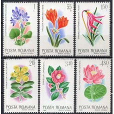 ROM3277M-SÉRIE FLORES EXÓTICAS DO JARDIM BOTÂNICO DE BUCARESTE - ROMÊNIA - 1980 - MINT