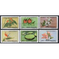 ROM4287M-SÉRIE FLORA - ROMÊNIA - 1995 - MINT ROM4287M-SÉRIE FLORA - ROMÊNIA - 1995 - MINT