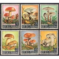 SAM0698N-SÉRIE COGUMELOS - SÃO MARINO - 1967 - N SAM0698N-SÉRIE COGUMELOS - SÃO MARINO - 1967 - N