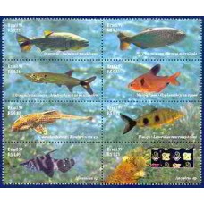 SB2212MS-SÉRIE EXPOSIÇÃO FILATÉLICA CHINA 99 - ANO DO COELHO (DO BLOCO) - 1999 - MINT