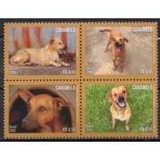 SB4204MQ-QUADRA CACHORRO CARAMELO - 2026 - MINT