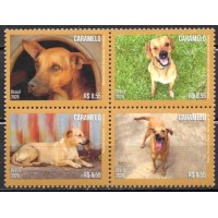 SB4206MQ-QUADRA CACHORRO CARAMELO, 2ª POSIÇÃO - 2026 - MINT SB4206MQ-QUADRA CACHORRO CARAMELO, 2ª POSIÇÃO - 2026 - MINT