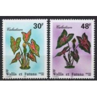 WAF0493M-SÉRIE FLORA LOCAL - CORAÇÃO-DE-JESUS - WALLIS E FUTUNA - 1996 - MINT